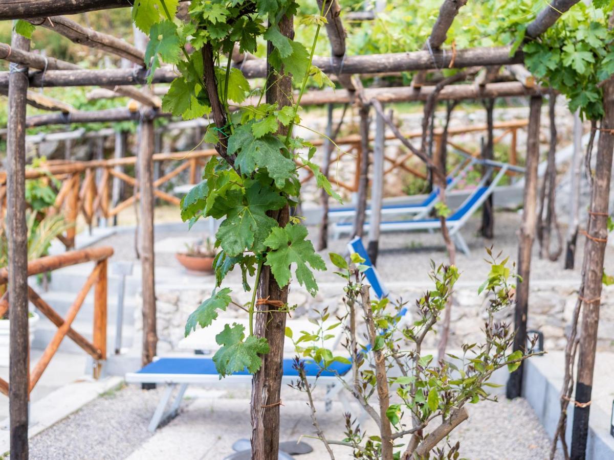 Albergo Diffuso Bacco فوروري المظهر الخارجي الصورة