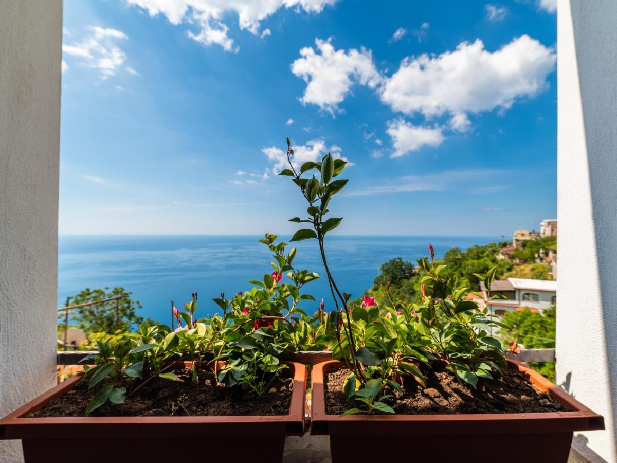 Albergo Diffuso Bacco فوروري المظهر الخارجي الصورة